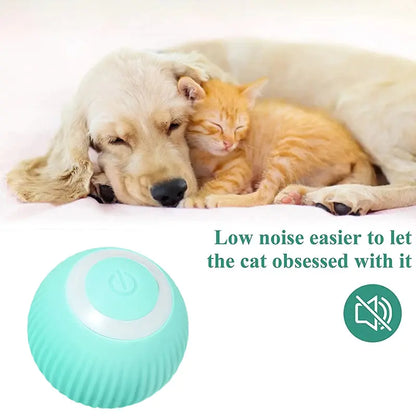 Electric Smart Ball Toys for Pets